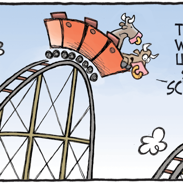 Stock Market Bulls Roller Coaster