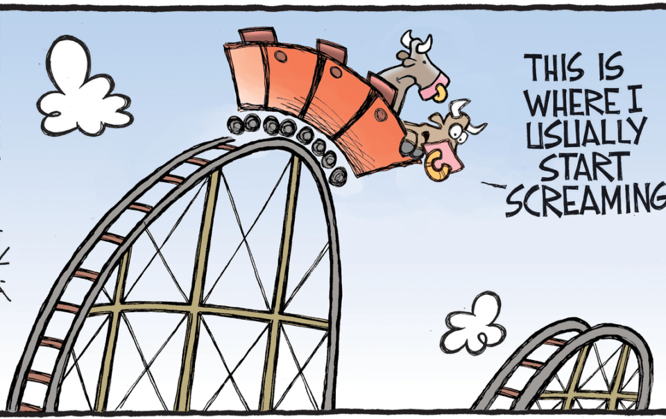Stock Market Bulls Roller Coaster